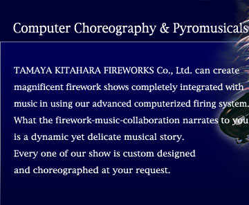 Computer Choreography & Pyromusicals 